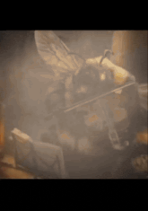 a blurred image of a bee playing a violin in a dark room