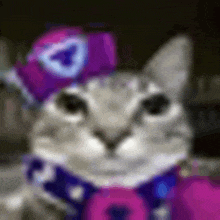 a cat is wearing a purple hat and a purple shirt .