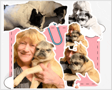 a woman holds a pug dog in her arms in a collage