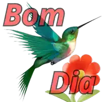 a hummingbird is flying next to a flower that says bom dia on it