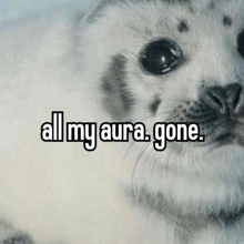 a seal with the words " all my aura gone " below it