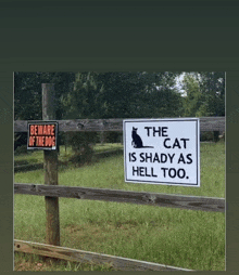 beware of the dog and the cat is shady as hell too signs