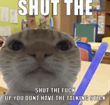 a cat is holding a talking stick in a classroom with a meme .