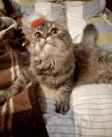 a cat wearing a santa hat is laying on a striped blanket