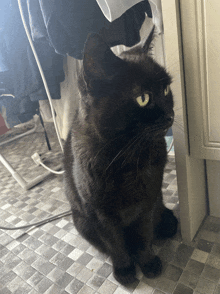 a black cat is sitting on a tiled floor and looking at the camera