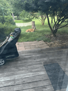 a greenworks stroller is on a wooden deck