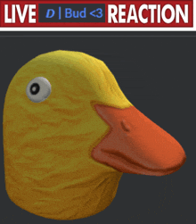 a picture of a yellow rubber duck with a live d bud < 3 reaction