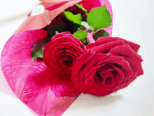 a bouquet of red roses wrapped in pink tissue paper