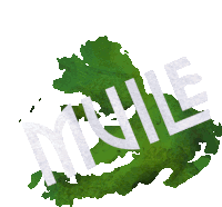 a green map with the word mule written on it