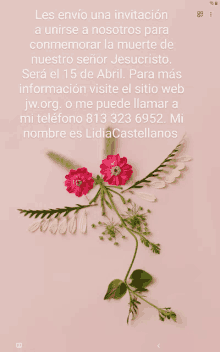 a pink background with flowers and the words les envio una invitacion on it