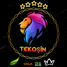 a lion with a rainbow mane is surrounded by stars and the word tekosin