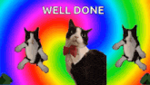 a black and white cat wearing a bow tie is on a rainbow background with the words " well done " above it