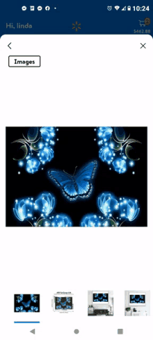 a cell phone screen shows a picture of a blue butterfly