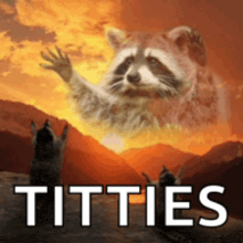 a picture of a raccoon with the words titties written below it