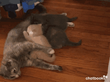 a cat laying on a wooden floor with three kittens nursing