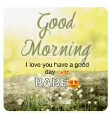 a good morning i love you have a good day babe picture