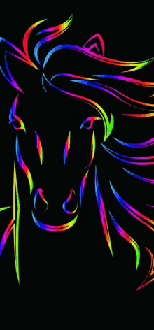 a colorful drawing of a horse 's head and mane on a black background