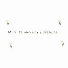 a white background with flowers and the words `` mami te amo hoy y siempre ''