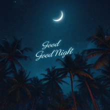 a night sky with palm trees and a crescent moon and the words good night