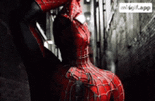 a close up of a spiderman costume with a spider on it