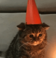 a cat is wearing an orange cone hat on its head .