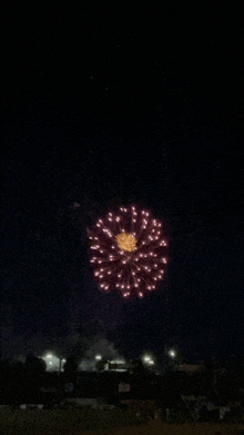 a fireworks display in the night sky with a yellow firework in the middle