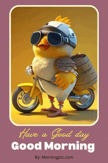 a cartoon chicken wearing a helmet and goggles is on a motorcycle