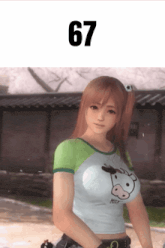 a video game character with the number 67 on the top