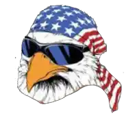 a bald eagle wearing sunglasses and a bandana with the american flag on it