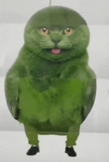 a green cat with a watermelon head and pants is standing on a white surface .