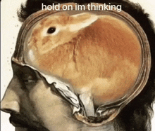 a picture of a rabbit in a man 's head with the words hold on im thinking