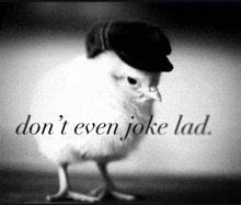 a black and white photo of a chicken wearing a hat with the words " don t even joke lad " below it