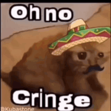 a cat with a sombrero and a mustache is wearing a mexican hat .