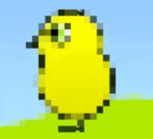 a pixel art of a yellow chicken standing on top of a grass covered field .