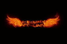 the name satyam the x is written in flames on a black background