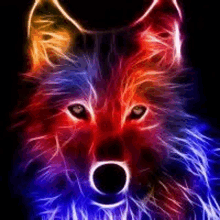 a colorful wolf is glowing in the dark with a black background .