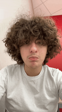 a young man with curly hair and a white shirt looks at the camera