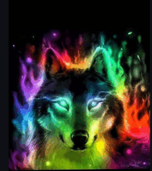 a painting of a wolf with rainbow colored flames around it