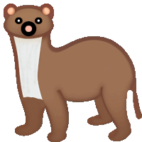 Pine Marten Marten Sticker