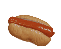 a hot dog on a bun with ketchup and mustard on a white background