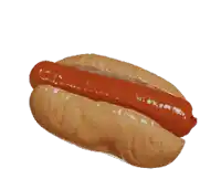 a hot dog on a bun with ketchup and mustard on a white background