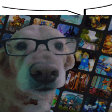 a dog wearing glasses stands in front of a collage of images