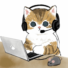 a cat wearing headphones and a headset is using an apple laptop