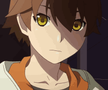 a boy with brown hair and yellow eyes looks at the camera