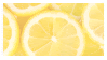 a close up of lemon slices on a postage stamp