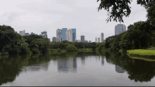 a city skyline is reflected in a lake in a park