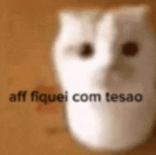 a blurred image of a white cat with the words aff fiquei com tesao on it .