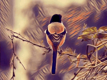 a painting of a bird perched on a branch