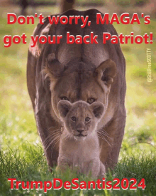 a picture of a lion and a baby lion with the caption " don t worry maga 's got your back patriot "