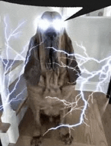 a dog with lightning bolts coming out of its eyes is sitting on a wooden floor .